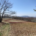 early spring landscape