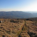 white mountain